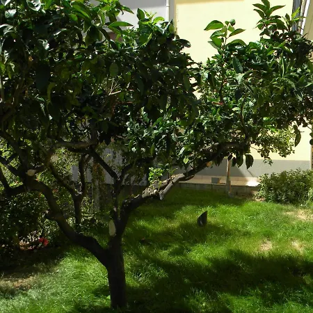 Il Giardino * Diamante