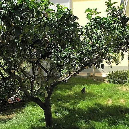 לינה וארוחת בוקר Il Giardino דיאמנטה